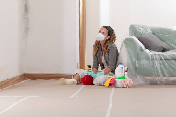 Reliable Crawl Space Mold Removal contractor in Landing, NJ by WQB Mold Removal
